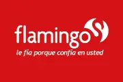 Supersociedades confirma reorganización de Almacenes Flamingo
