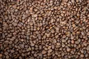 UE exige a Colombia exportar sin deforestación para café, palma y cacao