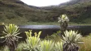 Veeduría de Bucaramanga critica metodología en concertación de Santurbán