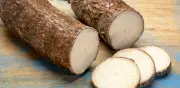 Yuca y tomate de árbol lideran alza de precios en junio: inflación anual llega a 6,14%